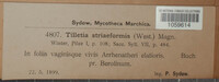 Image Associated With the Occurence